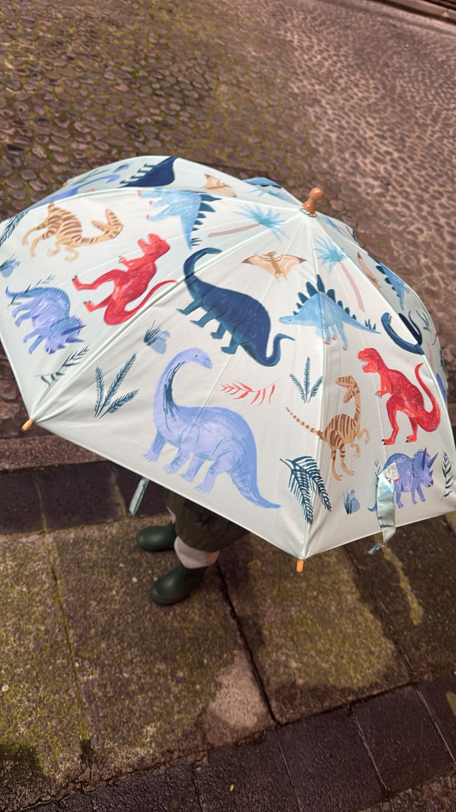 Dinosaur Umbrella