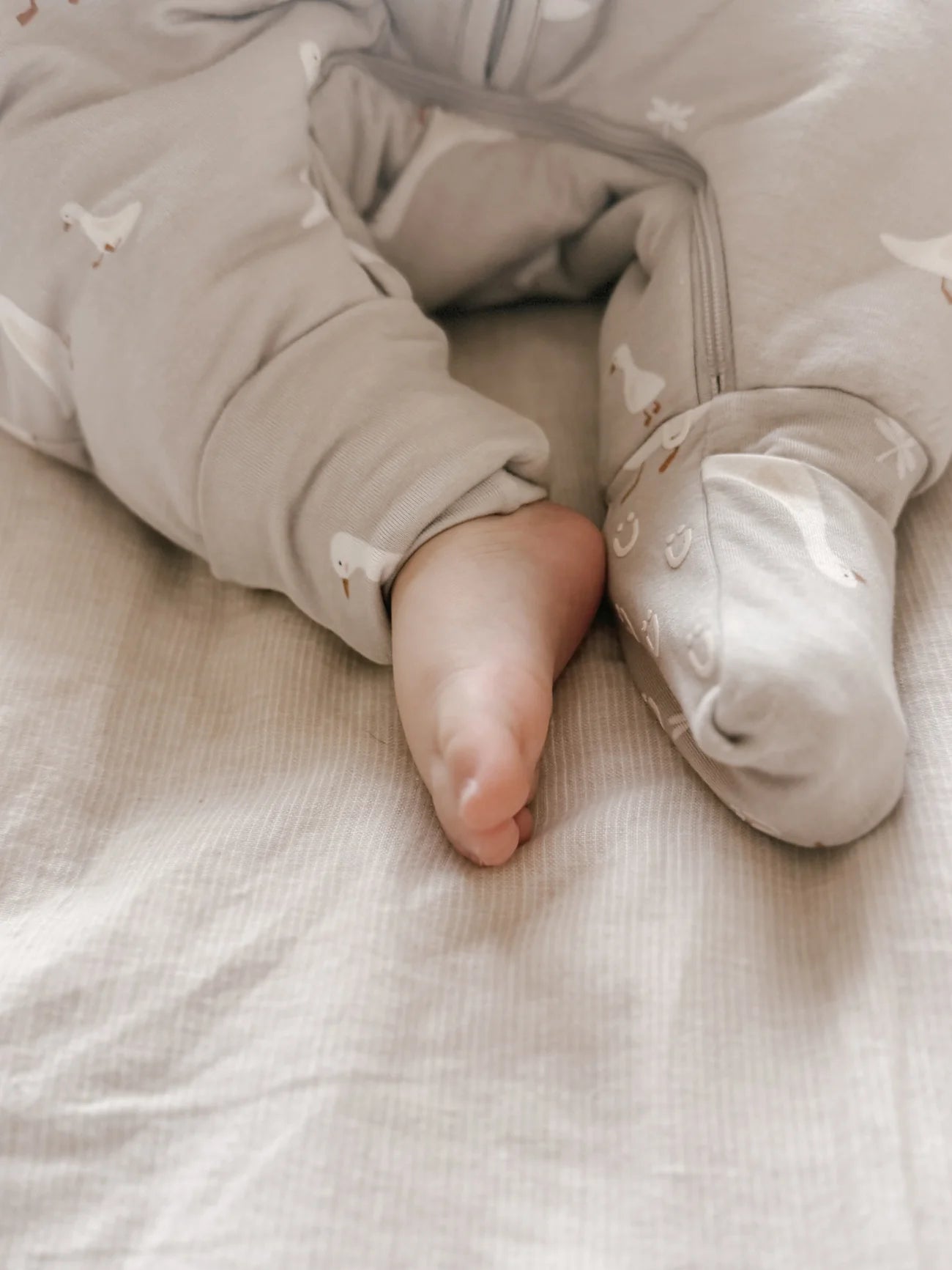 Long Sleeve Footie Sleep Sack Goose