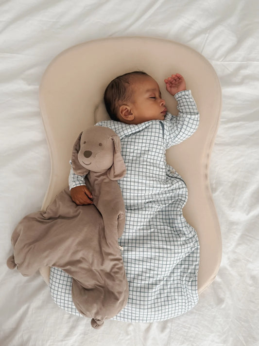 Long Sleeve Transitional Swaddle Checkmate