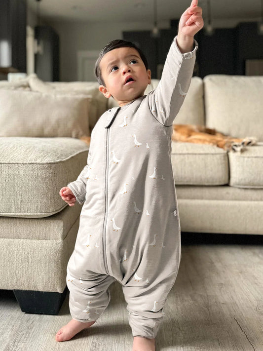 Long Sleeve Footie Sleep Sack Goose