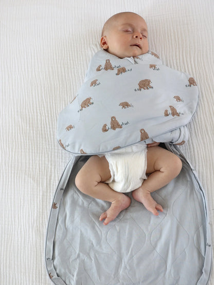 Swaddle Sleep Sack Teddies