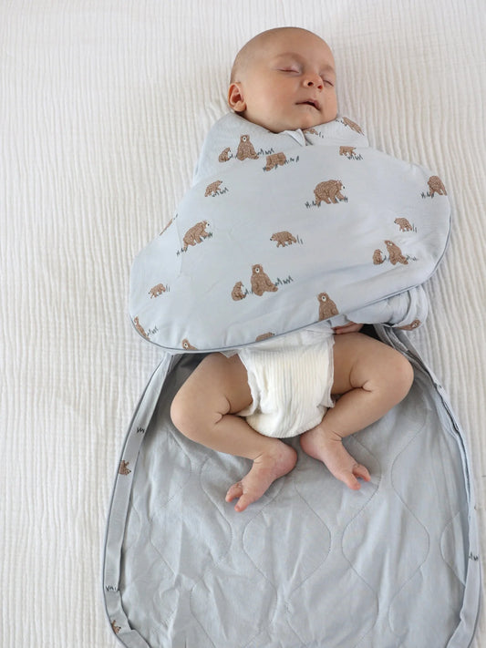 Swaddle Sleep Sack Teddies