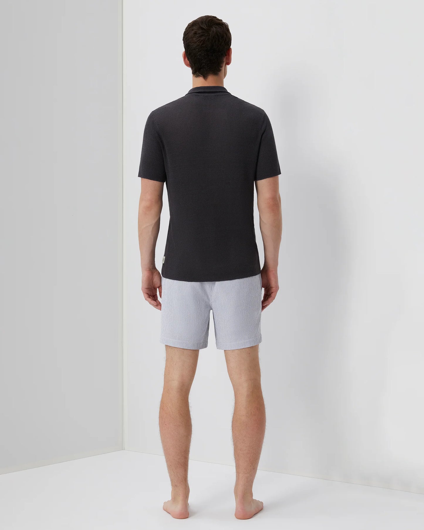 Charles Swim Trunk Light Checkered